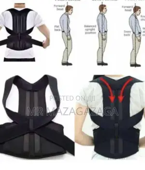 Back Pain Need