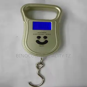 Electronic Scale
