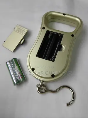 Electronic Scale