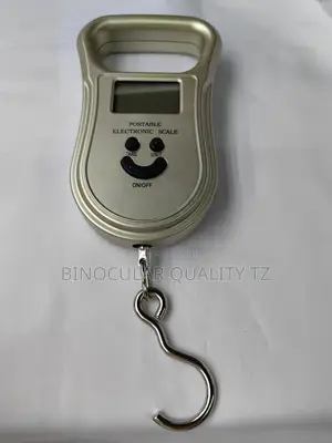 Electronic Scale