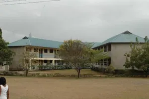 School for Sale at Mbezi Beach
