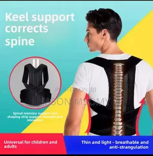 Back Pain Belt