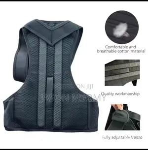 Back Pain Belt