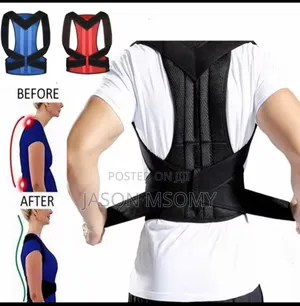 Back Pain Belt