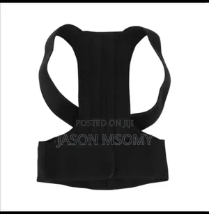 Back Pain Belt