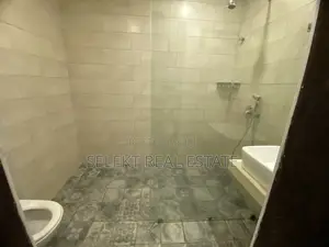 Furnished 1bdrm Apartment in Masaki for rent