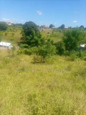 1040 SQMTS Plot, Bunju Beach