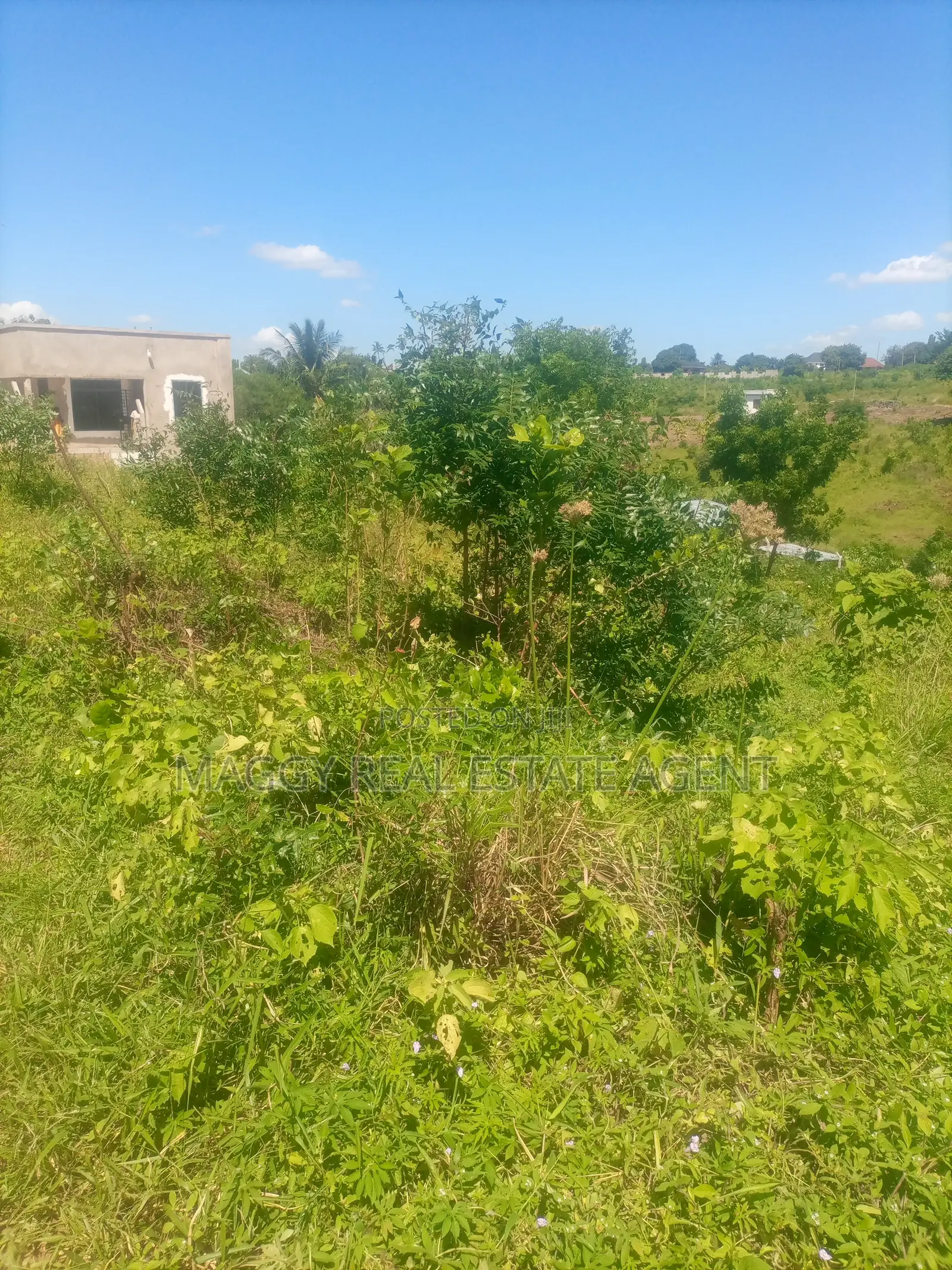 1040 SQMTS Plot, Bunju Beach