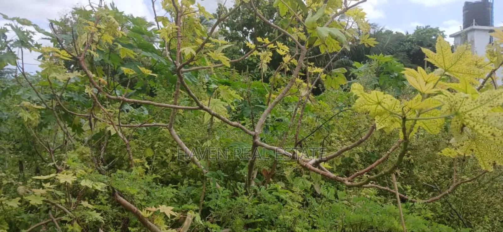 Second Line Beach Plot for Sale at Zanzibar