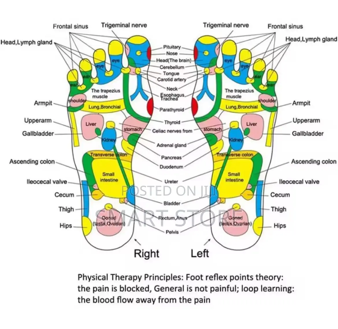 Acupressure Reflexology – Health Care Foot Mat