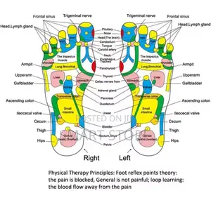 Acupressure Reflexology – Health Care Foot Mat