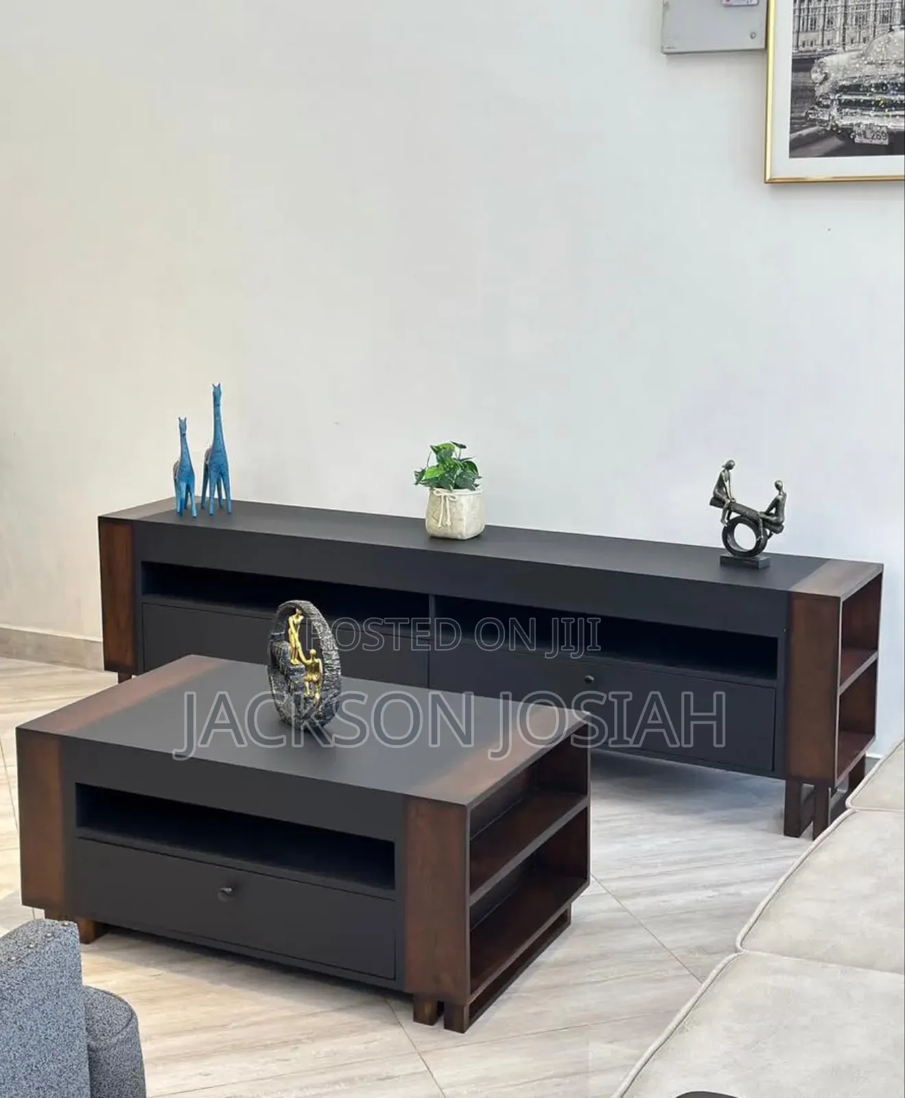 Tv Show Case &Coffee Table
