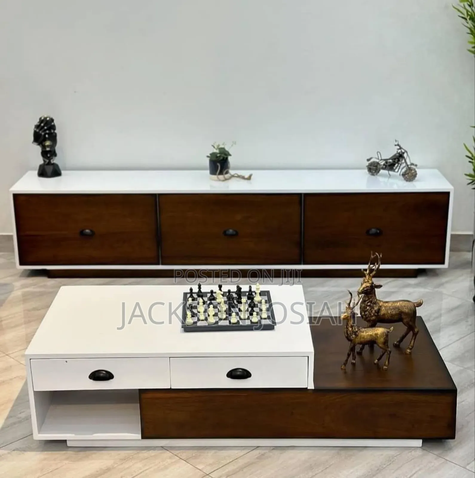 Tv Show Case &Coffee Table