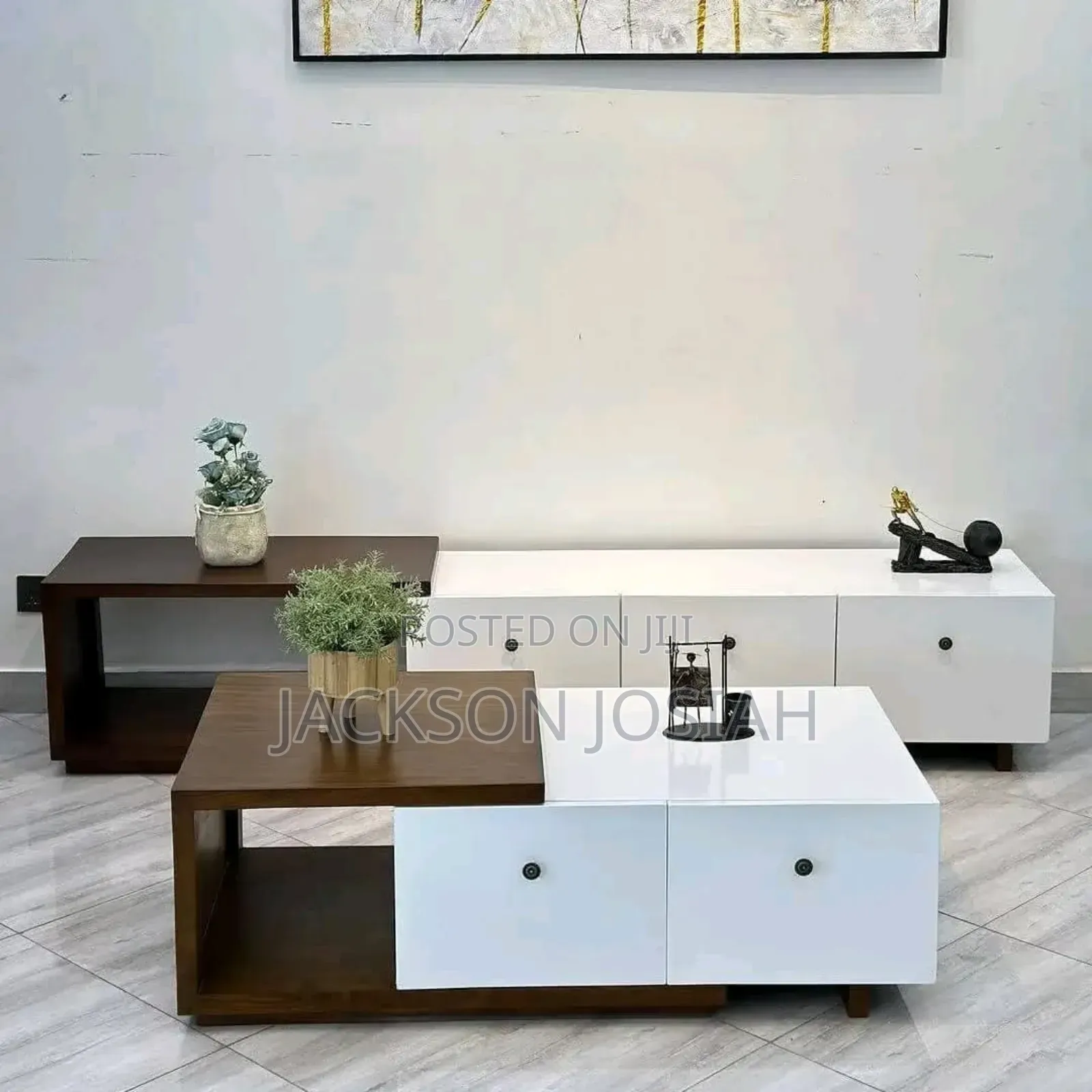 Tv Show Case &Coffee Table