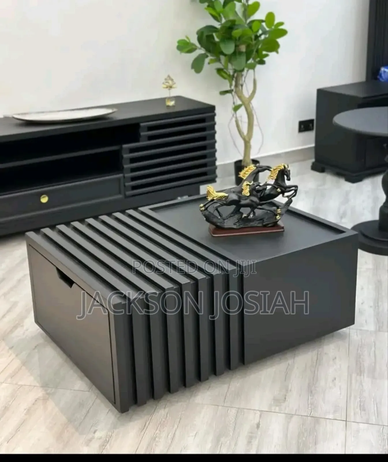 Tv Show Case &Coffee Table