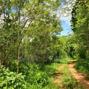 Photo - Shamba Acre 50 for Sale Mbwewe