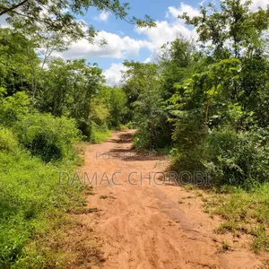 Shamba Acre 50 for Sale Mbwewe