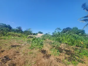 Mbezi Msumi Plot for Sale