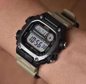 Casio Dw-291hx-5avdf