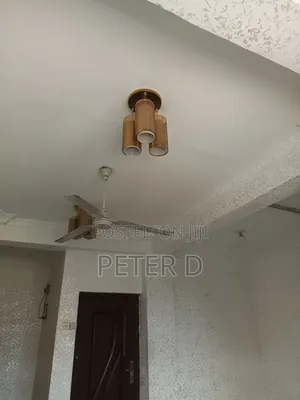 3bdrm Apartment in Kariakoo for rent