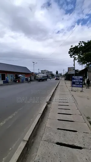 Double Plot Sale at Makumbusho It Look at Tarmac