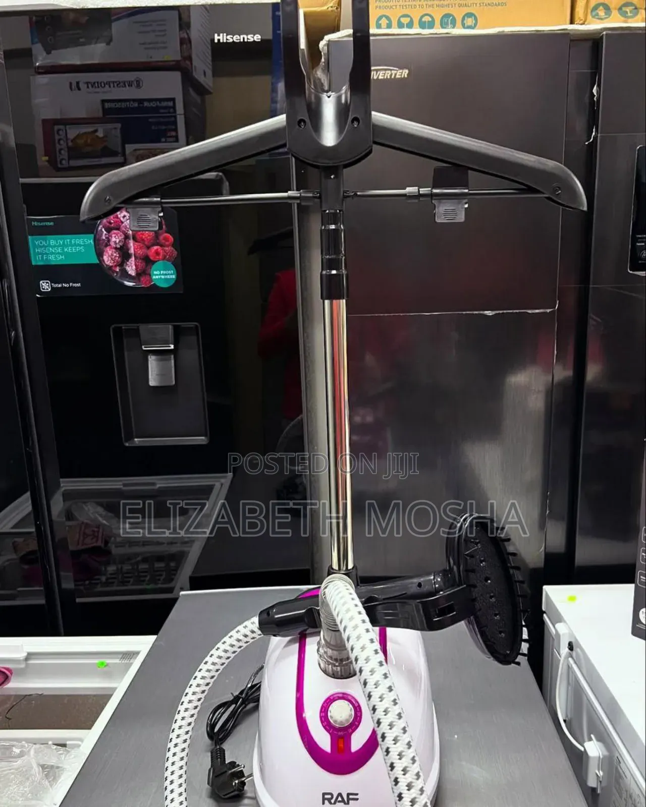 Garment Steamer With Stand