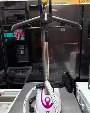 Garment Steamer With Stand