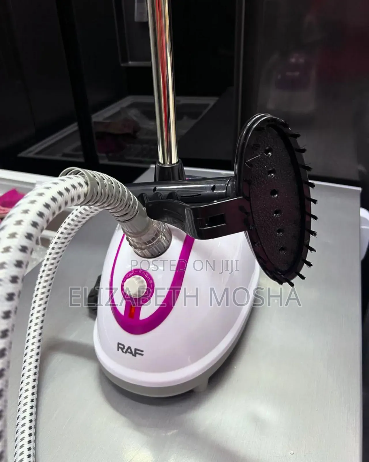 Garment Steamer With Stand