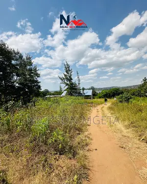 Plot for Sale