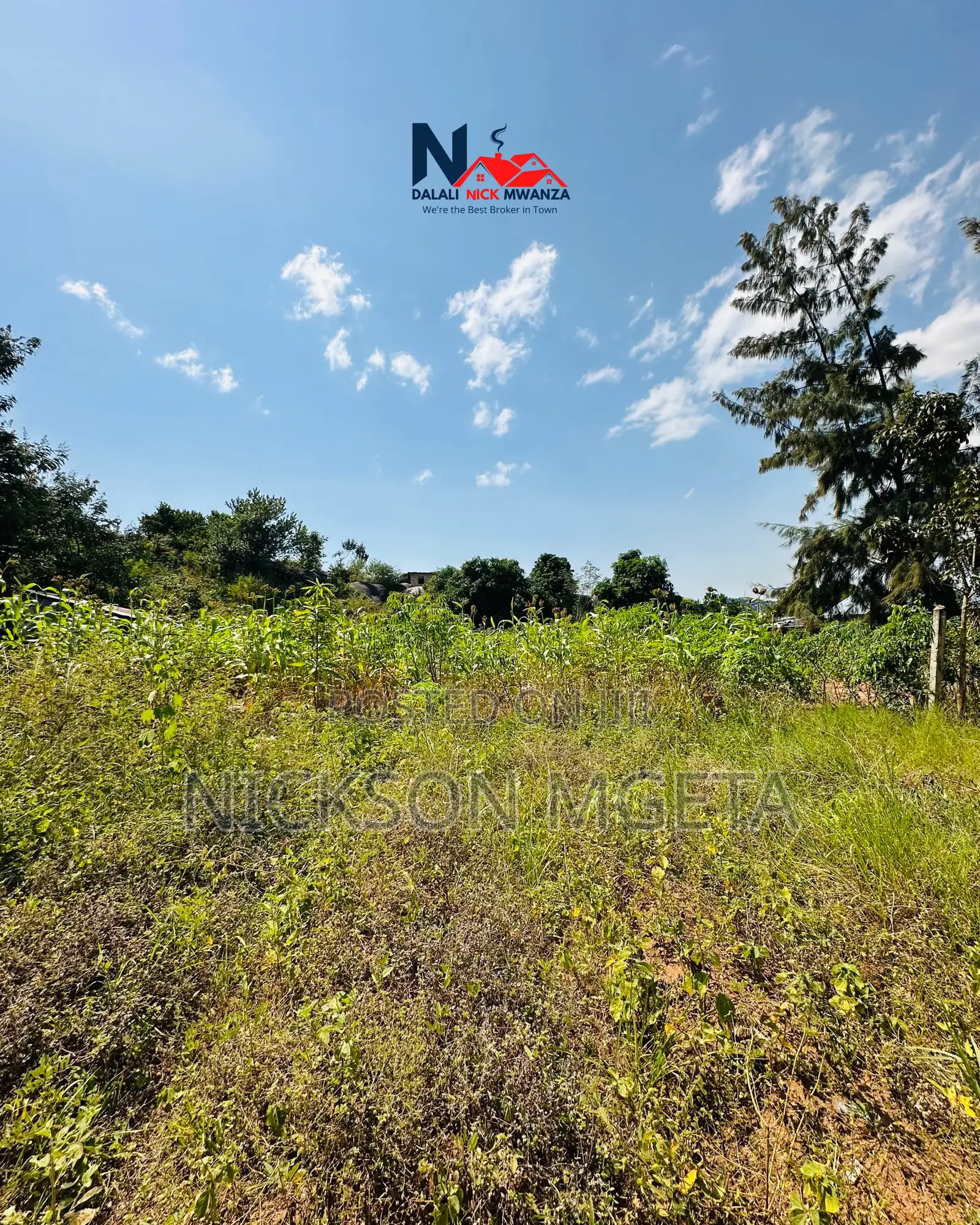 Plot for Sale