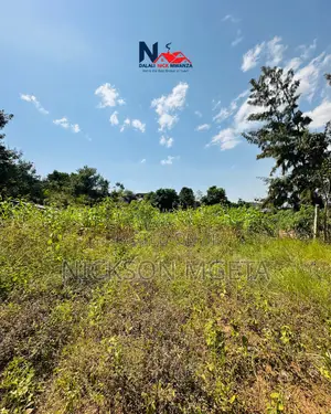Plot for Sale