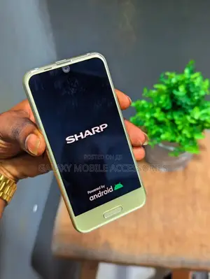 Sharp R1 32 GB Gold