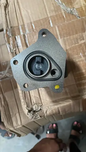 Man Truck Fuel Pump /