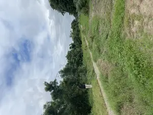 Photo - 8.5 Acres Plot for Sale in Kurasini