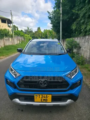 Toyota RAV4 2019 Blue