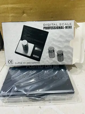 Digital Professionals Scale Mini
