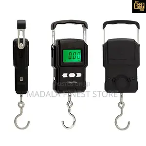 Wh-A22 Portable Electronic Scale 75kg