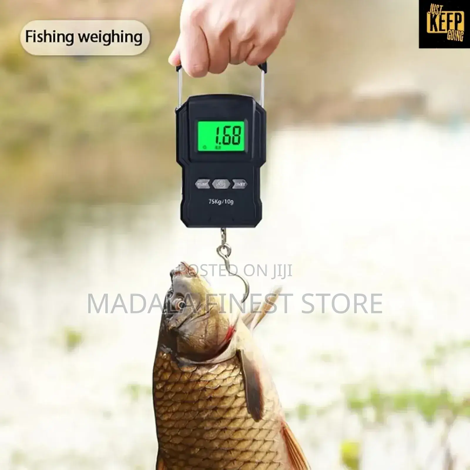 Wh-A22 Portable Electronic Scale 75kg