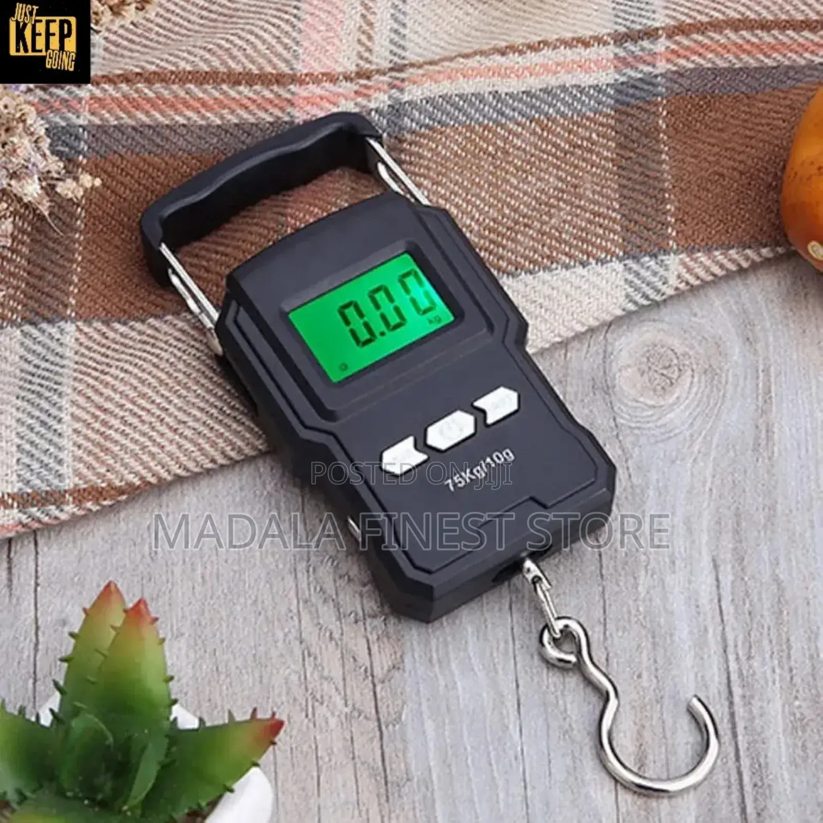 Wh-A22 Portable Electronic Scale 75kg