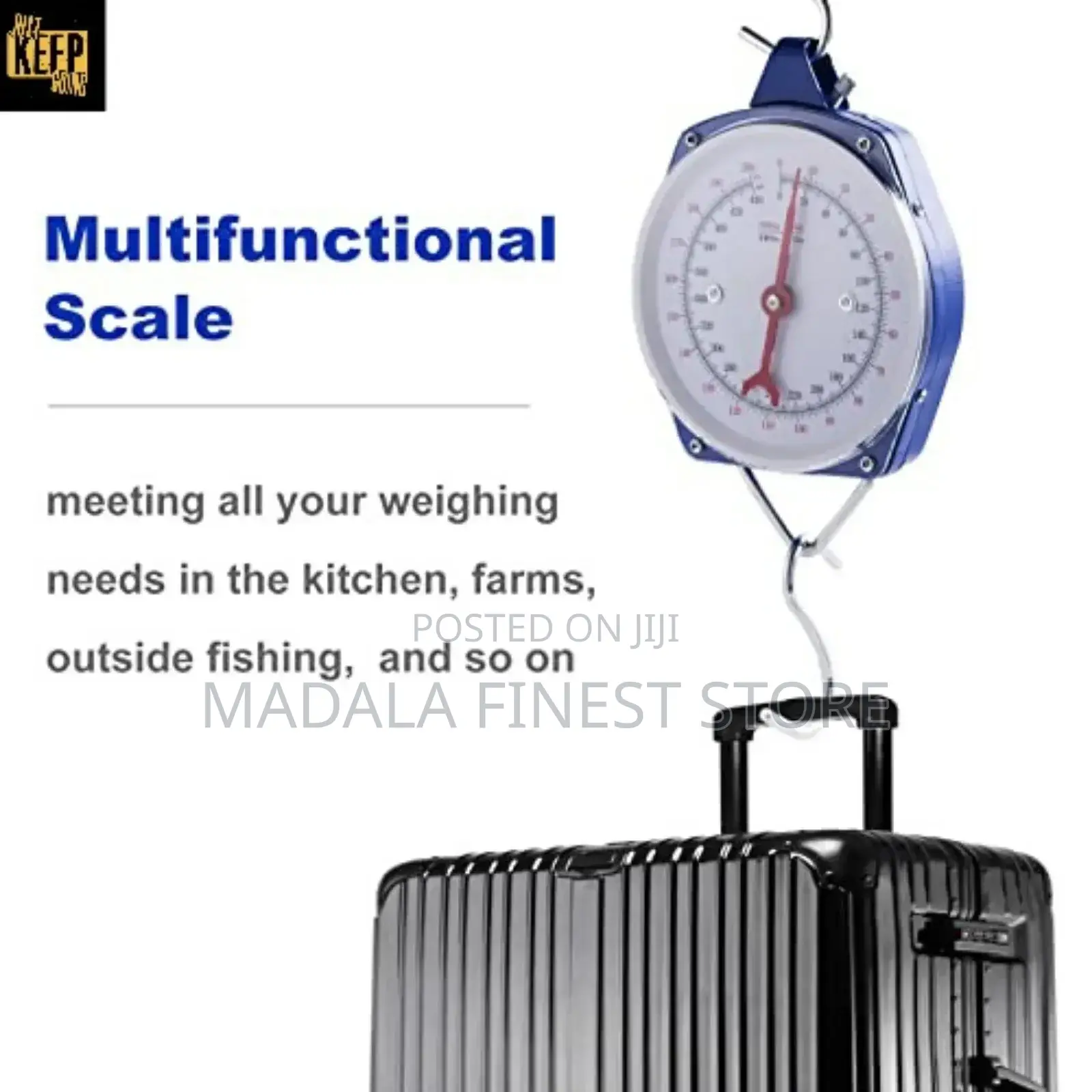 Hanging Scale 100kg