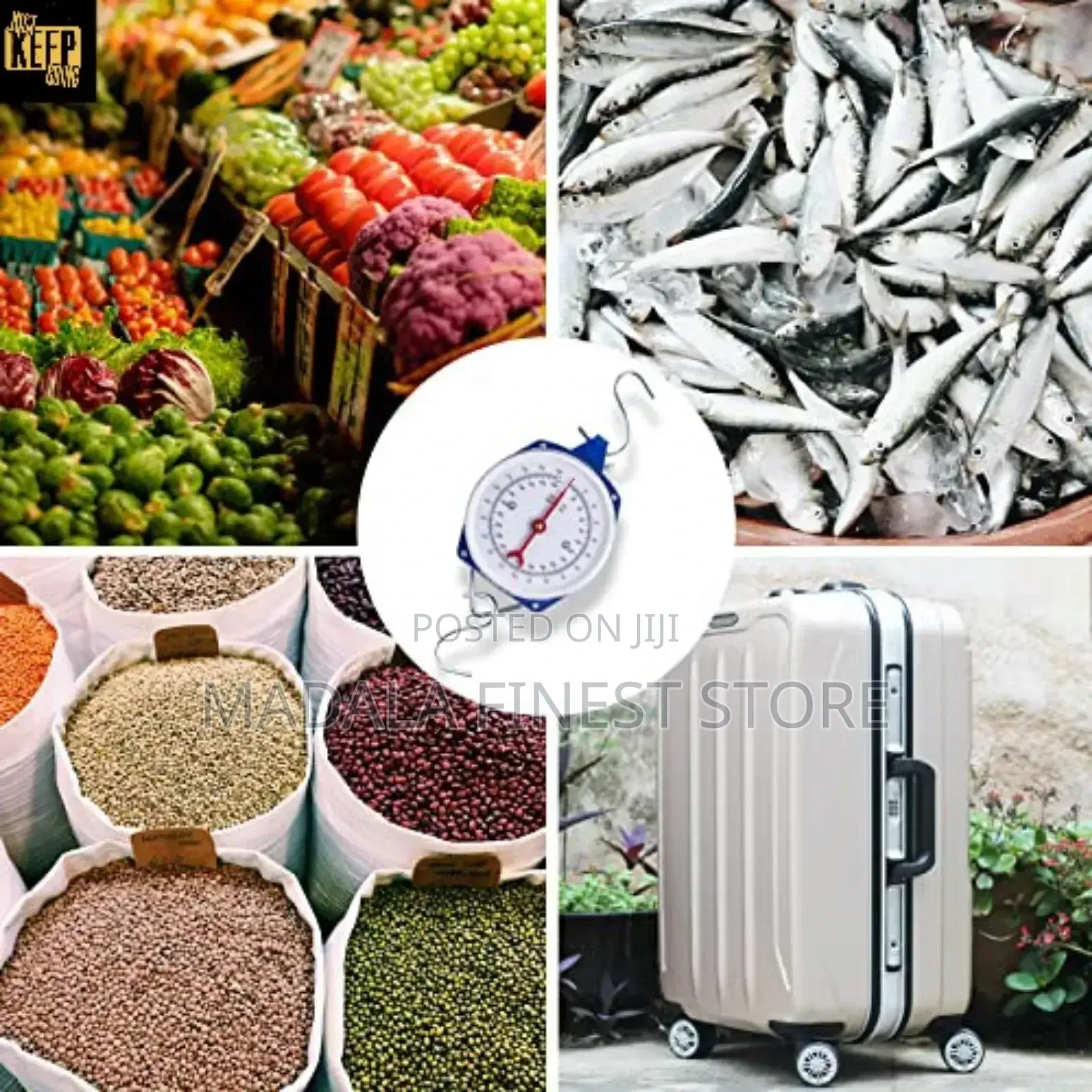 Hanging Scale 100kg