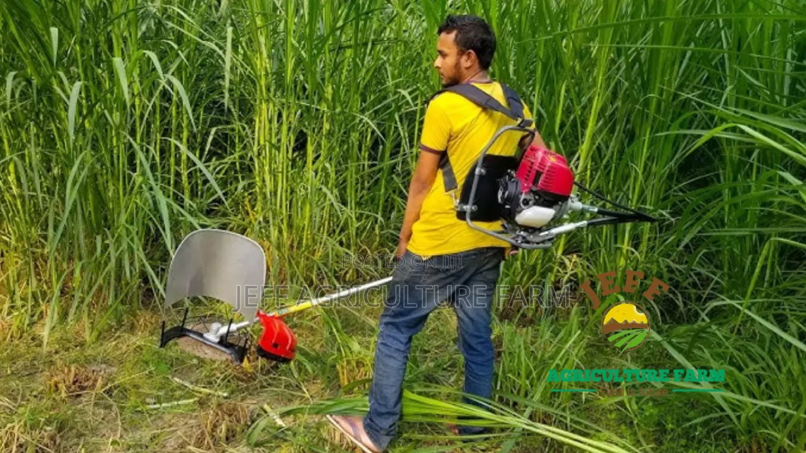 Grass Cutter Petrol Fuel Available
