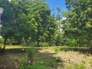 Mining Land for Sale in Iramba