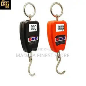 Mini Crane Scale 200kg