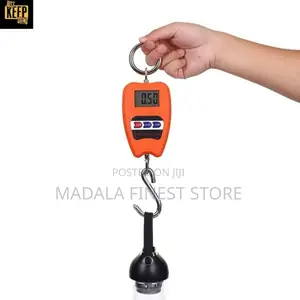 Mini Crane Scale 200kg