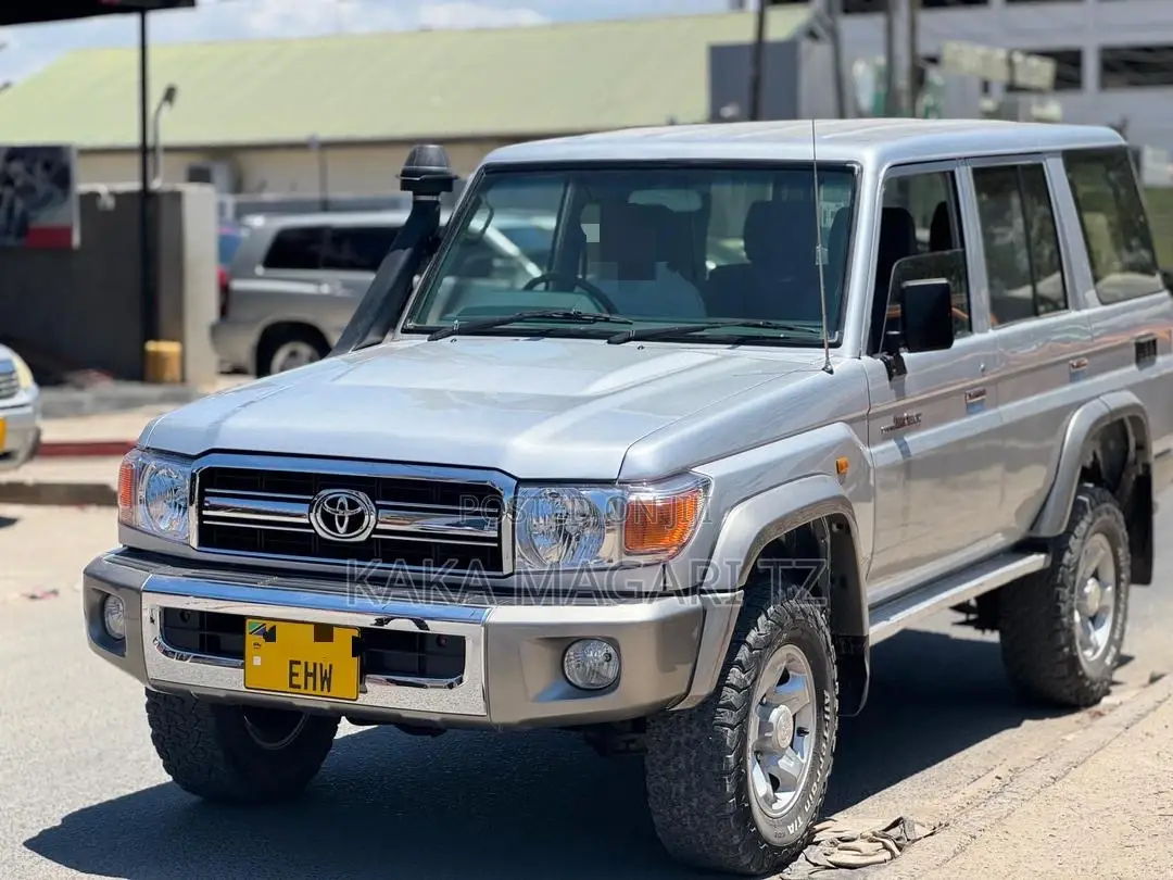 Toyota Land Cruiser 2009 Silver