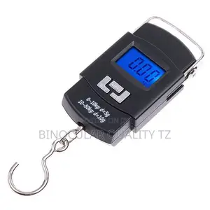Electric Scale