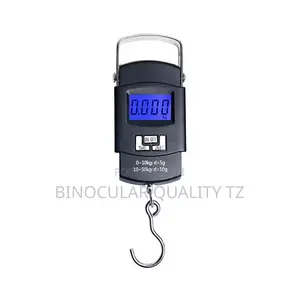 Electric Scale