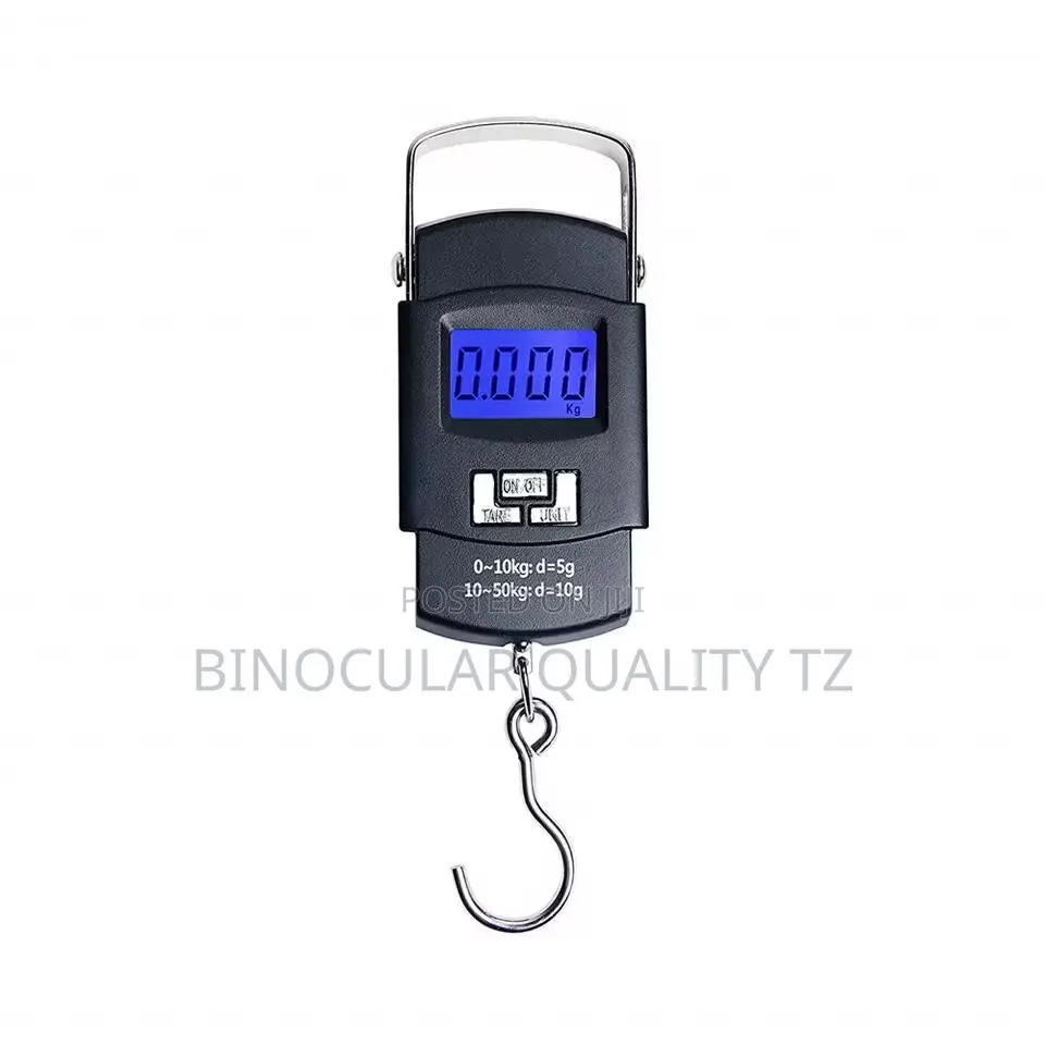 Electric Scale