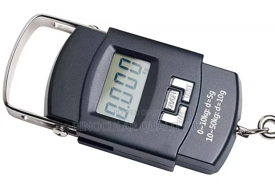 Electric Scale